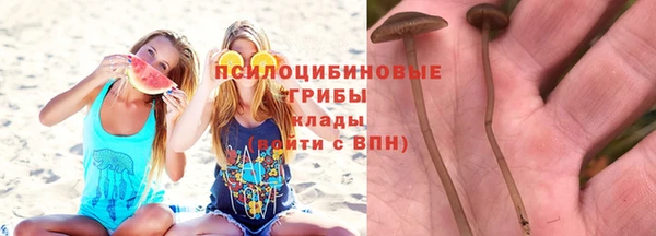 каннабис Абинск